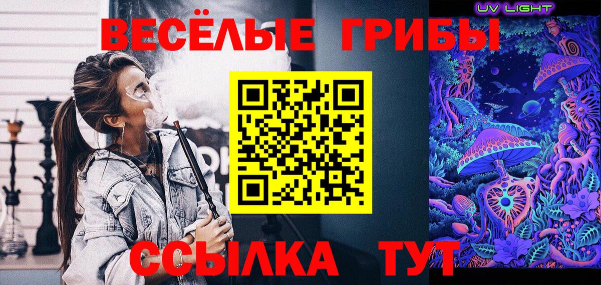 Галлюциногенные грибы Psilocybine cubensis Кировск