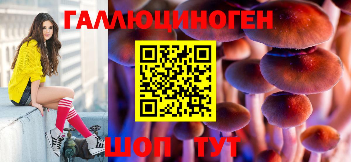 Кировск  Псилоцибиновые грибы Cubensis  дарнет шоп  Вход с VPN  Псилоцибиновые грибы GOLDEN TEACHER 